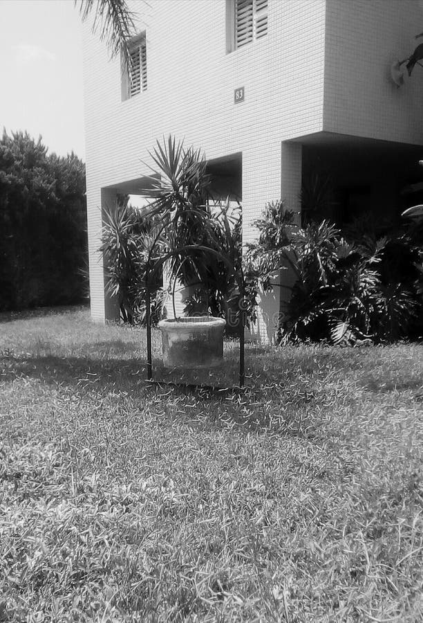 Disegno del giardino fotografia stock