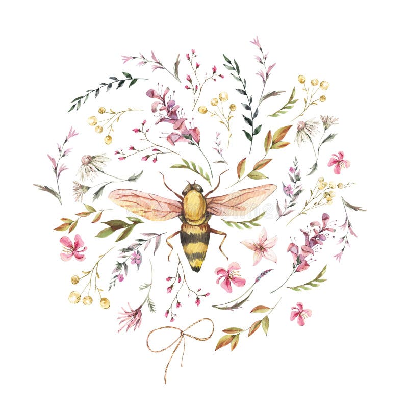 Disegno dell'ape a colori. corona di fiori selvatici di vintage. illustrazione botanica naturale