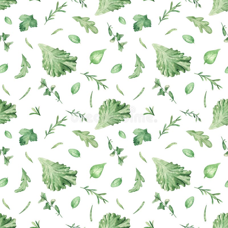 Disegno di acquerello con erbe fresche illustrazione di stock