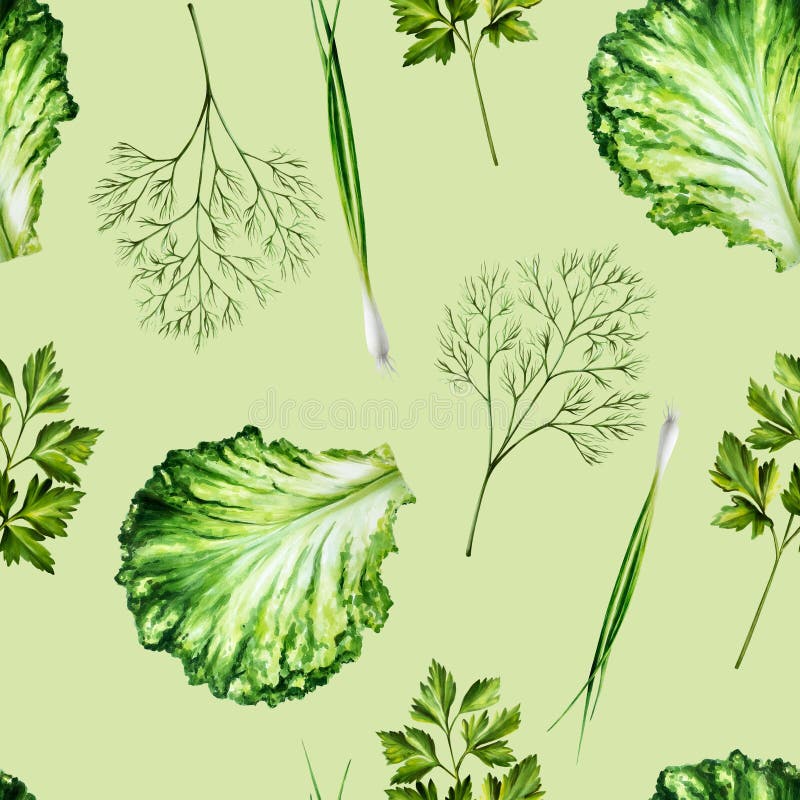 Disegno di salma con lattuglie di lattuga verde fresche di prezzemolo di cipolle verdi. Calzatura a mano di colore filato Sala kal fotografia stock libera da diritti