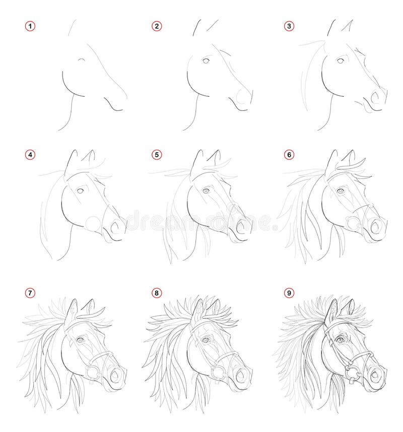 Disegno a matita graduale della creazione Manifestazioni della pagina come impari disegnare lo schizzo della testa di cavalli imm