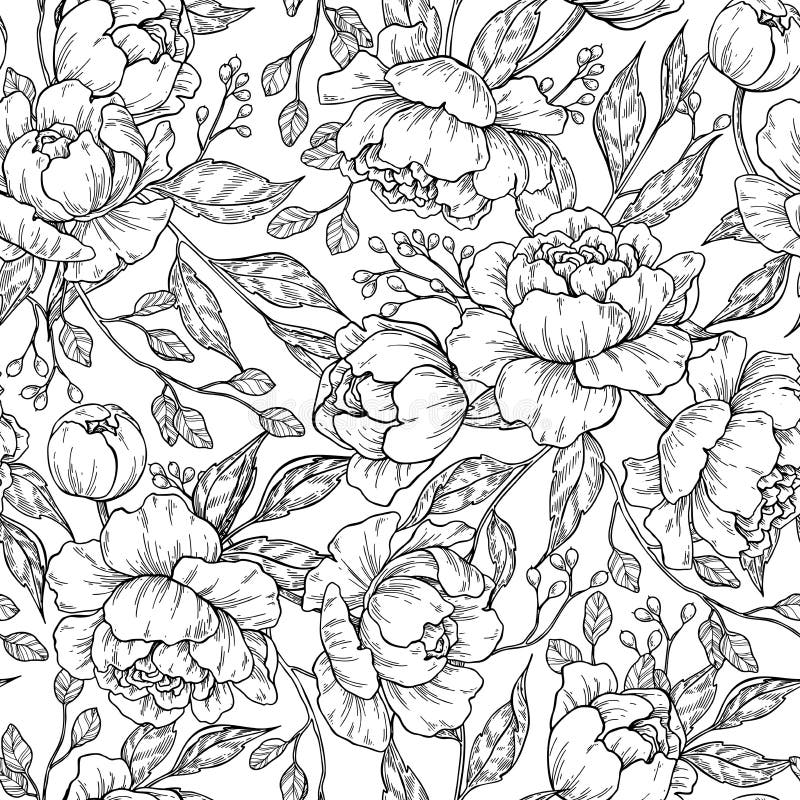 Disegno senza cuciture del modello del fiore della peonia Il vettore disegnato a mano incide Disegno senza cuciture del modello del fiore della peonia Il vettore disegnato a mano incide
