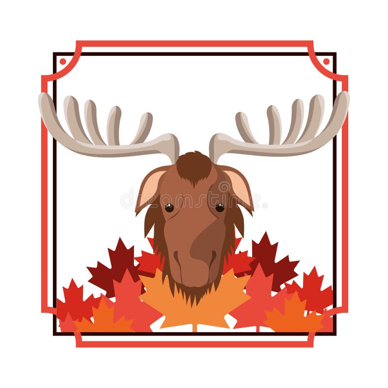 Diseño animal aislado del bosque de los alces ilustración del vector Diseño animal aislado del bosque de los alces ilustración del vector