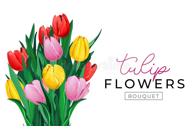 Diseño del fondo del ramo de la flor del tulipán Fondo floral de la primavera con los tulipanes rojos, amarillos y rosados concep libre illustration Diseño del fondo del ramo de la flor del tulipán Fondo floral de la primavera con los tulipanes rojos, amarillos y rosados concep libre illustration