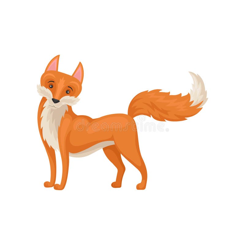 Diseño plano del vector de colocar el zorro rojo precioso con la cola aumentada Criatura salvaje animal del bosque stock de ilustración Diseño plano del vector de colocar el zorro rojo precioso con la cola aumentada Criatura salvaje animal del bosque stock de ilustración