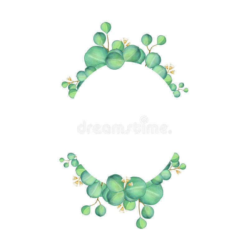Diseño verde de la acuarela de la tarjeta del eucalipto libre illustration Diseño verde de la acuarela de la tarjeta del eucalipto libre illustration