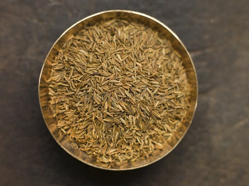 Dish of Cumin Seeds stock image. Image of elevated, horizontal 5947071