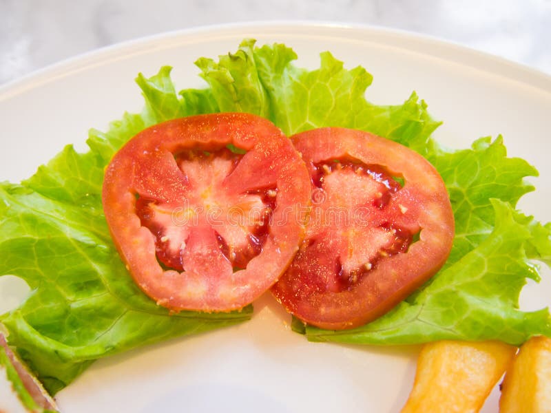 Dish Decorated with Tomato and Lettuce Stock Image Image of meal