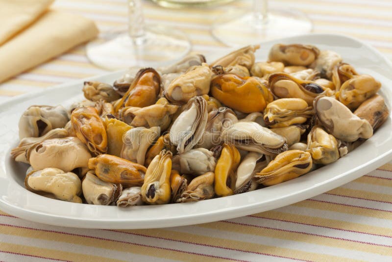 Dish with fresh cooked mussels royalty free stock photos