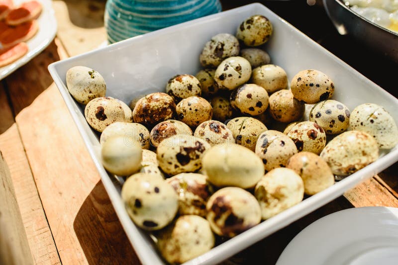 Dish with fresh quail eggs stock photo. Image of cooked 168761276