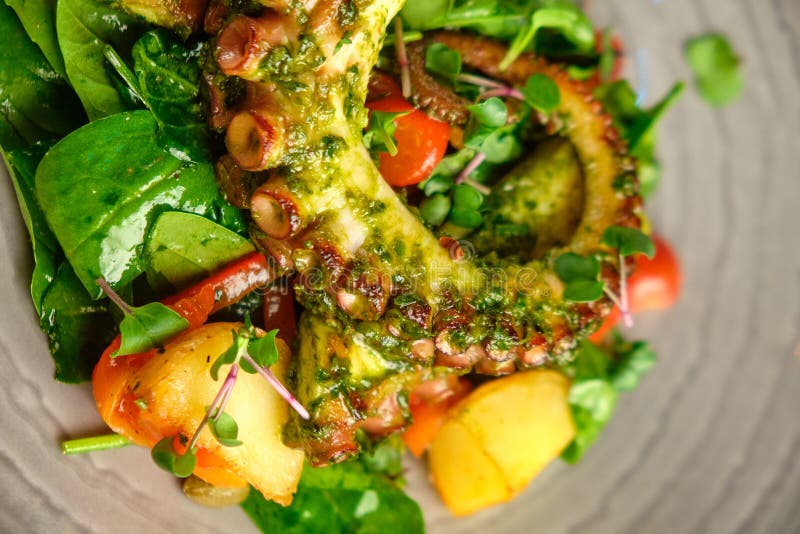 A Dish with Fried Octopus Tentacles Stock Photo Image of healthy