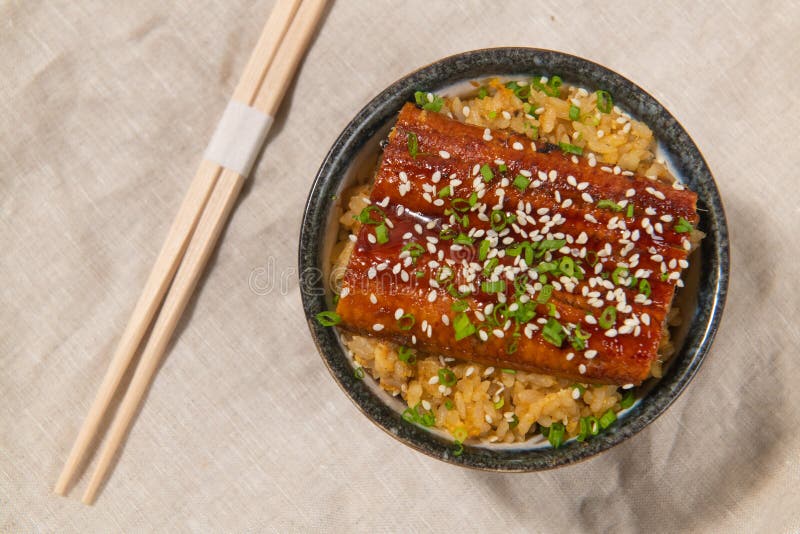 A Dish of Grill Japanese Eel with Rice. Stock Photo - Image of grill
