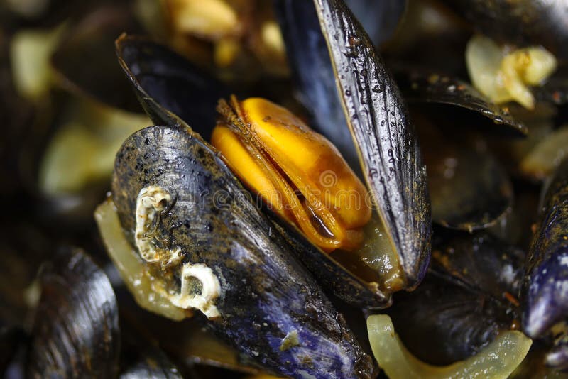 Dish of mussels cooked stock image. Image of cuisine 171190463