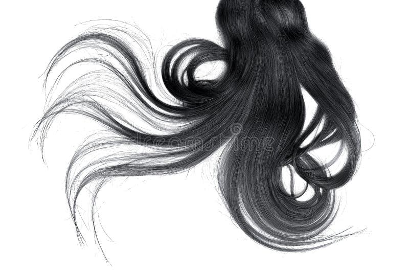 Disheveled Black Hair Isolated on White Background Stock Photo - Image of  curl, care: 137177600