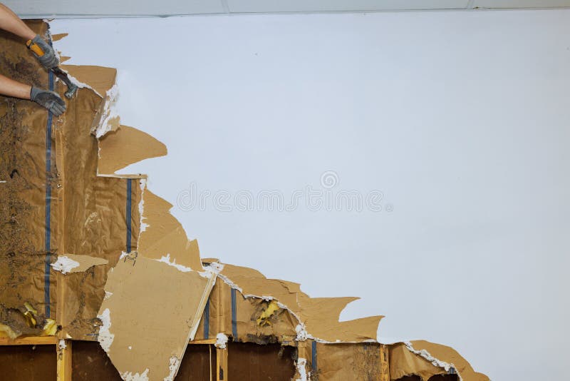Dismantling Old Damaged Plasterboard a Drywall during House