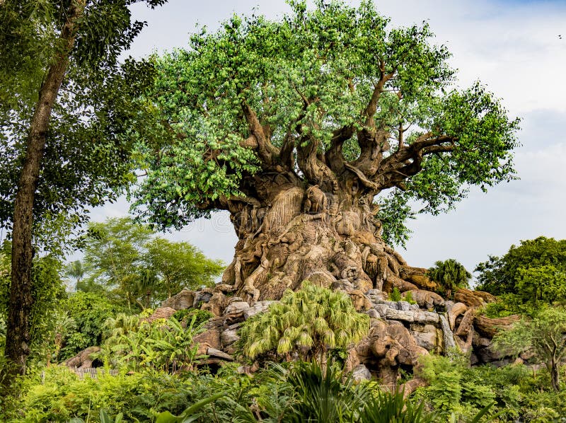 Disney World Orlando Florida Animal Kingdom Tree of Life Editorial Image - Image of kingdom, disney: 100965055 Disney World Orlando Florida Animal Kingdom Tree of Life Editorial Image - Image of kingdom, disney: 100965055