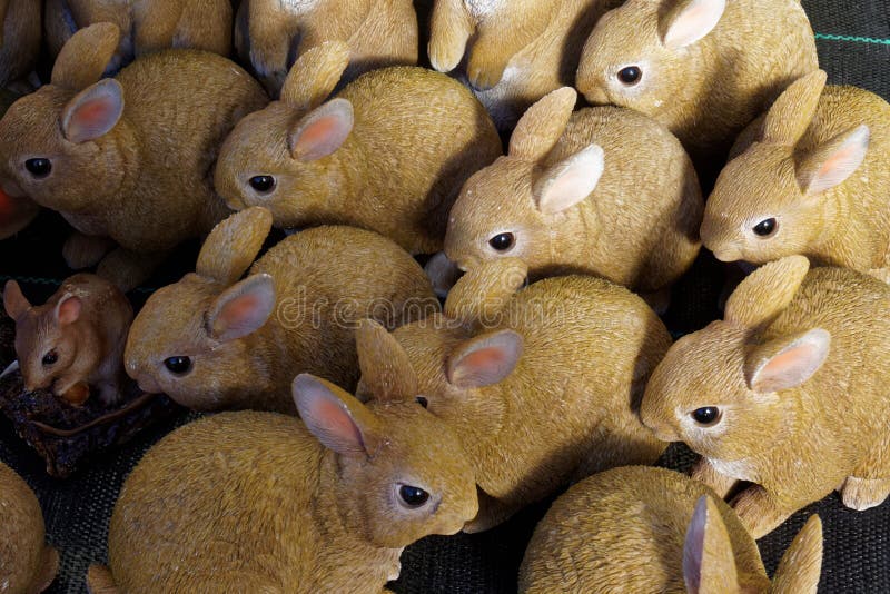 Display of Model Rabbits stock image. Image of mouse 51299711