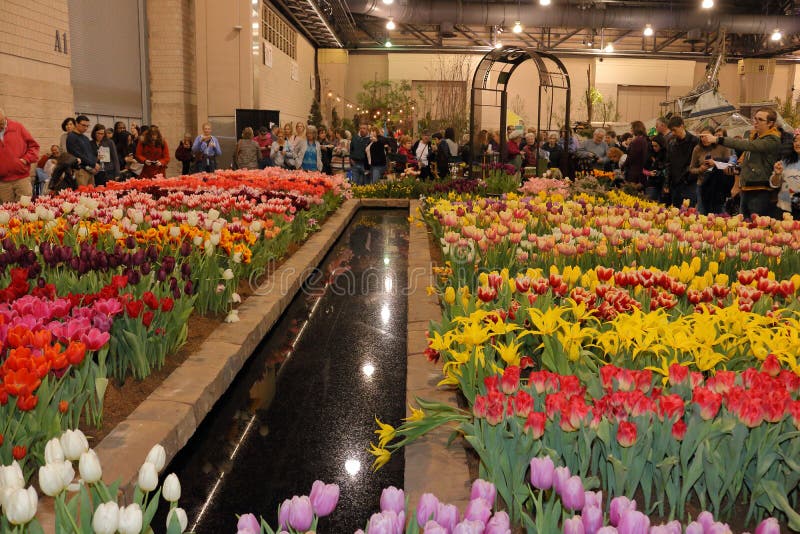 Philadelphia Flower Show 2018 Editorial Image Image of landscape