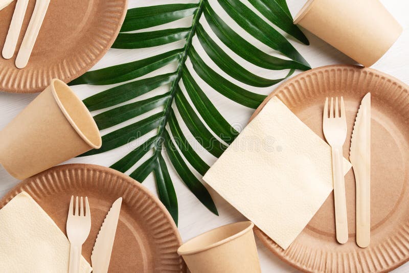 https://thumbs.dreamstime.com/b/disposable-biodegradable-ecological-tableware-eco-packaging-organic-cardboard-plates-wooden-forks-knives-paper-cup-disposable-244226223.jpg