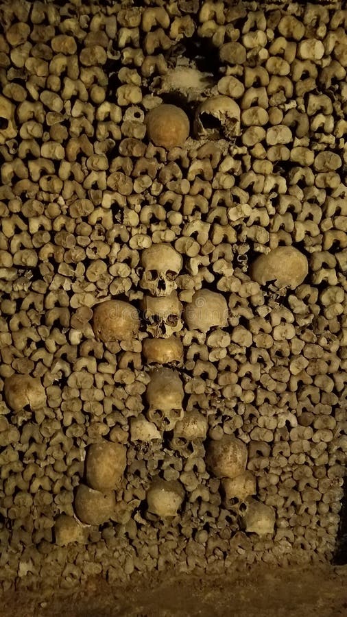 Disposition artistique des crânes dans les catacombes de Paris photographie stock Disposition artistique des crânes dans les catacombes de Paris photographie stock
