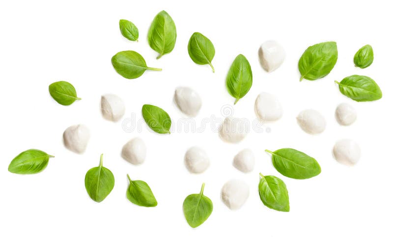 Disposition créative avec des boules de mozzarella et des feuilles de basilic d'isolement sur le fond blanc Vue sup?rieure images stock Disposition créative avec des boules de mozzarella et des feuilles de basilic d'isolement sur le fond blanc Vue sup?rieure images stock