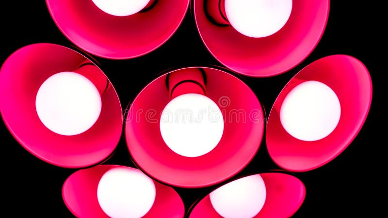 modern crimson red pink art chandelier with seven round plafonds with lamps inside them against black background. Minimalistic chandelier as flower. electric fixture with round plafonds from glass. modern crimson red pink art chandelier with seven round plafonds with lamps inside them against black background. Minimalistic chandelier as flower. electric fixture with round plafonds from glass