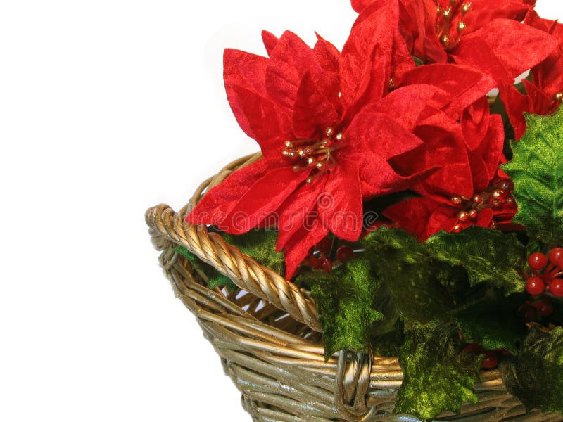 Gold basket with holly and poinsettias. Gold basket with holly and poinsettias