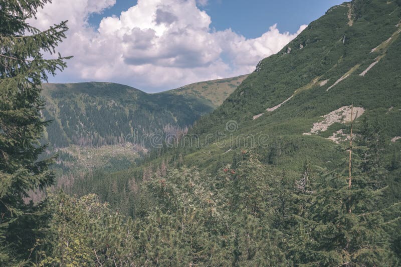 Distant mountain cores in slovakia Tatra mountain trails - vintage retro film look