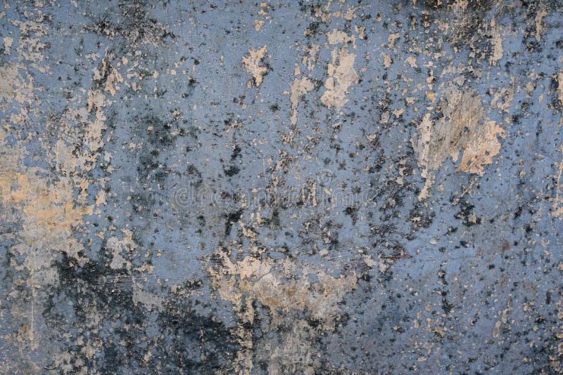 Distressed Concrete Wall Texture with Peeling Paint and Black Mold