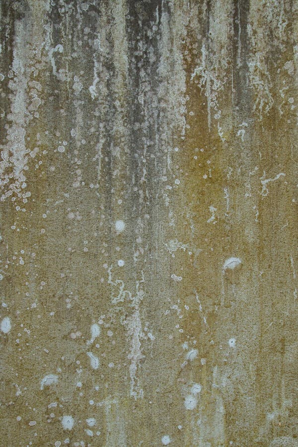 Distressed wall with damp stock photo