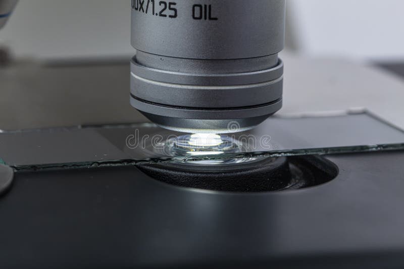 Distribution of Immersion Oil Under Light Microscope Objective Lens