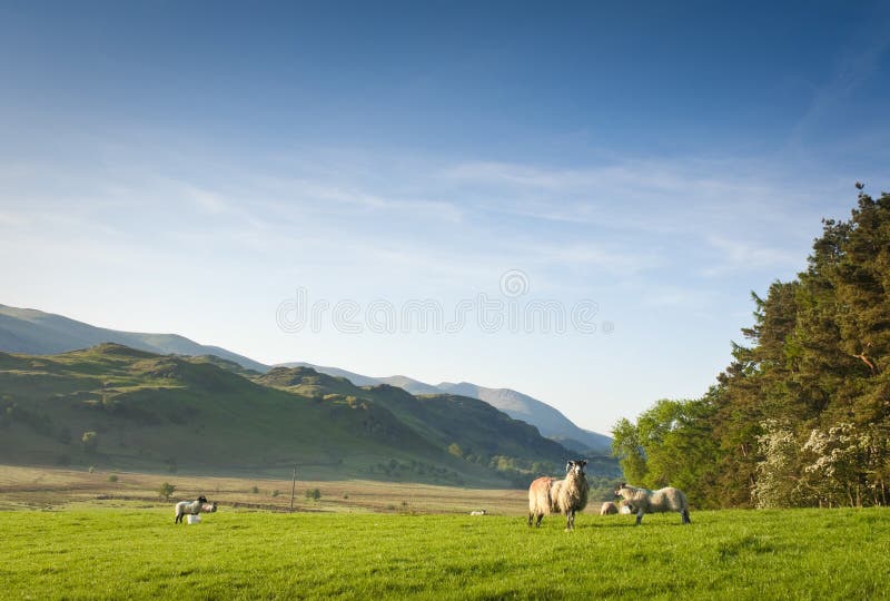 Distrito do lago, Cumbria, Reino Unido fotos de stock Distrito do lago, Cumbria, Reino Unido fotos de stock