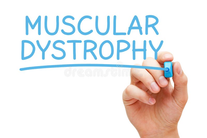 Hand writing Muscular Dystrophy with blue marker on transparent wipe board isolated on white background. Hand writing Muscular Dystrophy with blue marker on transparent wipe board isolated on white background