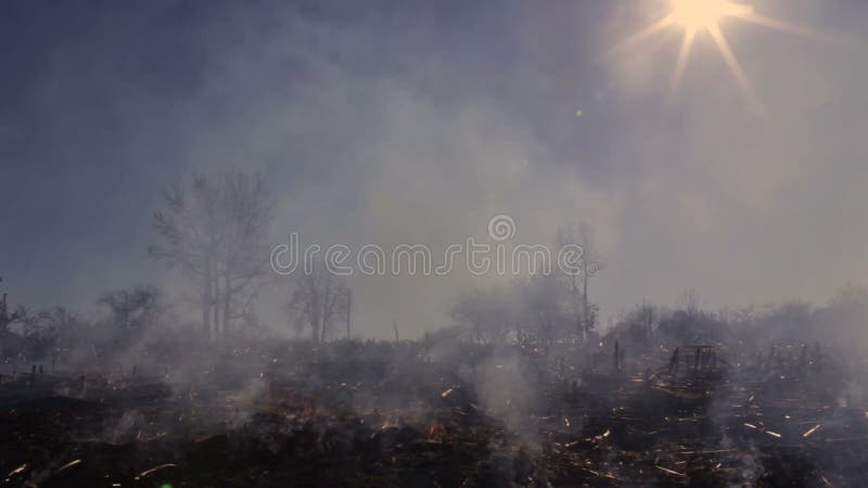 Distruzione ambientale ecologica di danno della natura