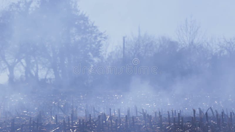 Distruzione ambientale ecologica di danno della natura