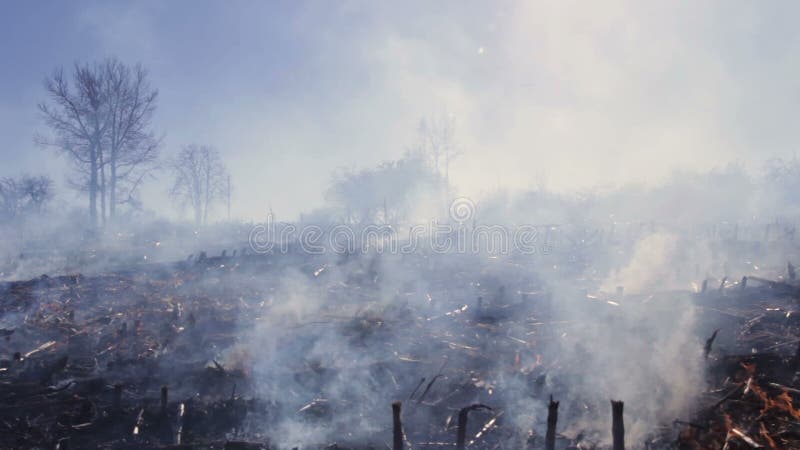 Distruzione ambientale ecologica di danno della natura