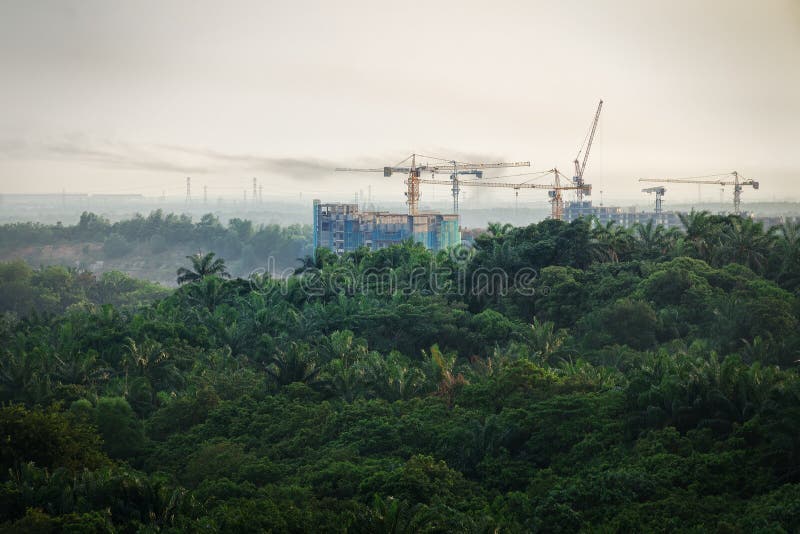 Distruzione tropicale della foresta - costruzione dei grattacieli nella zona della foresta fotografie stock libere da diritti Distruzione tropicale della foresta - costruzione dei grattacieli nella zona della foresta fotografie stock libere da diritti