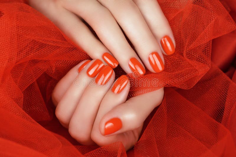 Beautiful female finger nails with red nail closeup on petals. Perfect manicure. Beautiful female finger nails with red nail closeup on petals. Perfect manicure