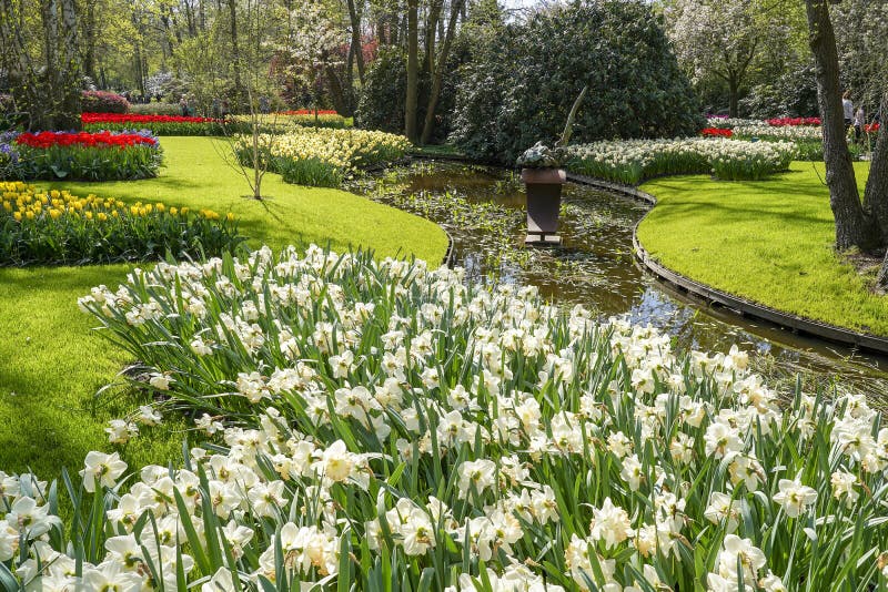 A ditch surrounded by a lawn and flower beds with daffodils and Tulips royalty free stock images A ditch surrounded by a lawn and flower beds with daffodils and Tulips royalty free stock images