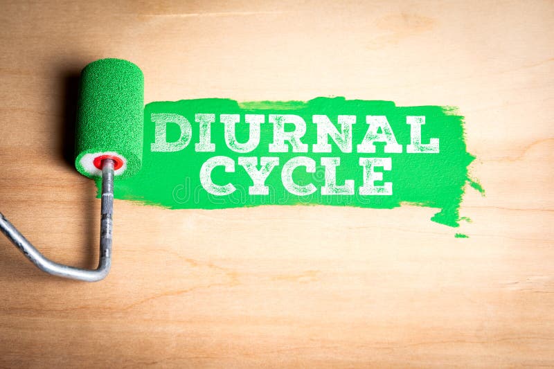 DIURNAL CYCLE Concept Illustrating Daily Biological Rhythm And Time Based Activity Pattern. Biological clock stock images, royalty-free photos and pictures