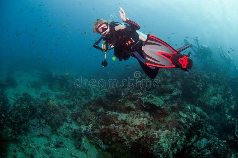 Dive guide stock image. Image of mask, hobby, aqualung 22541235