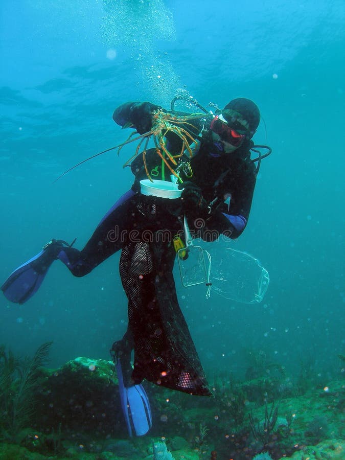 Diver and his Lobsters