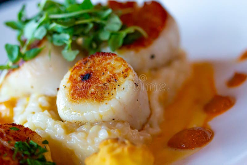 Diver Scallops with Fresh Greens and Reduction Sauce Stock Image