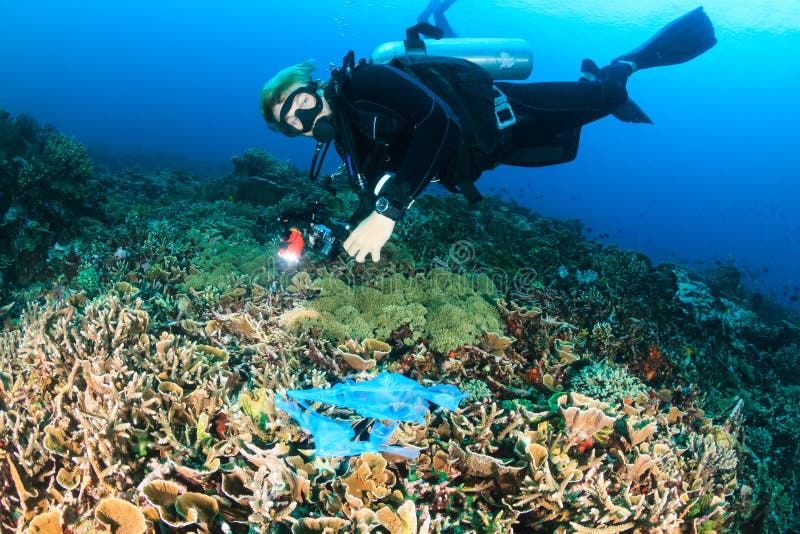 Diver swimming over a discarded plastic bag on a reef