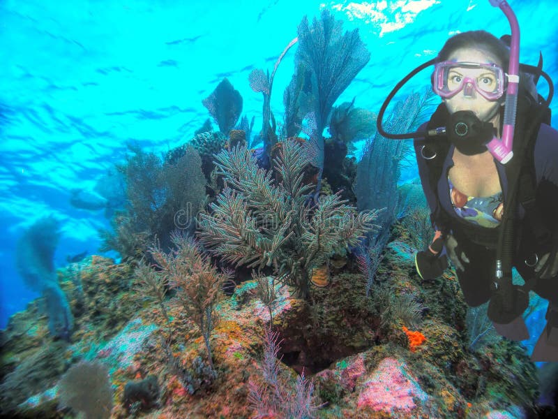 Diver Swims Past a Coral Mound off Cayman Brac