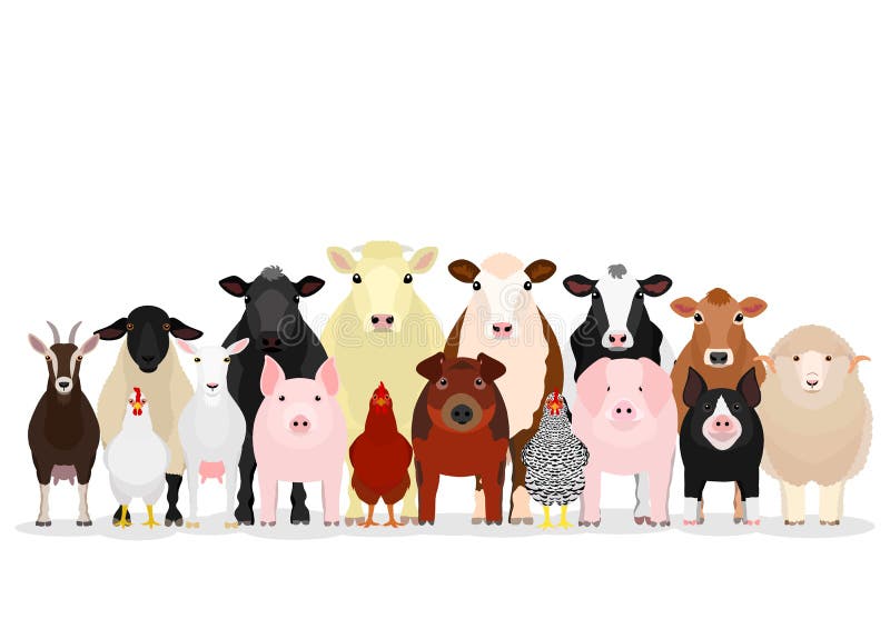 Various domestic animals in a group,  typical livestock standing in front. Various domestic animals in a group,  typical livestock standing in front.