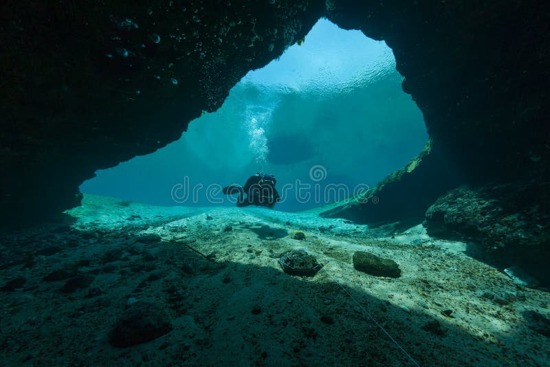 Divers onderwaterholen het duiken Florida Jackson Blue hol de V.S. stock afbeelding Divers onderwaterholen het duiken Florida Jackson Blue hol de V.S. stock afbeelding