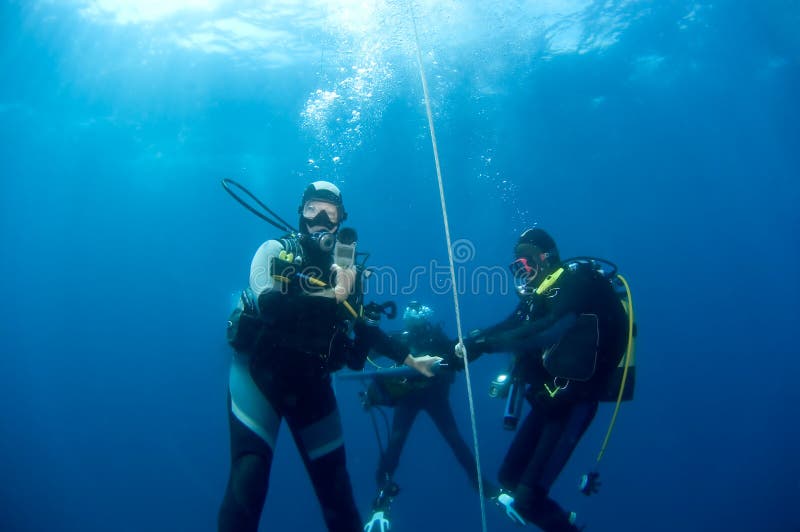 Scuba divers exploring stock photo. Image of life, tropical 3501142