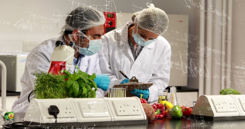 Diverse couple wearing lab coats are examining vegetables in lab royalty free stock photography