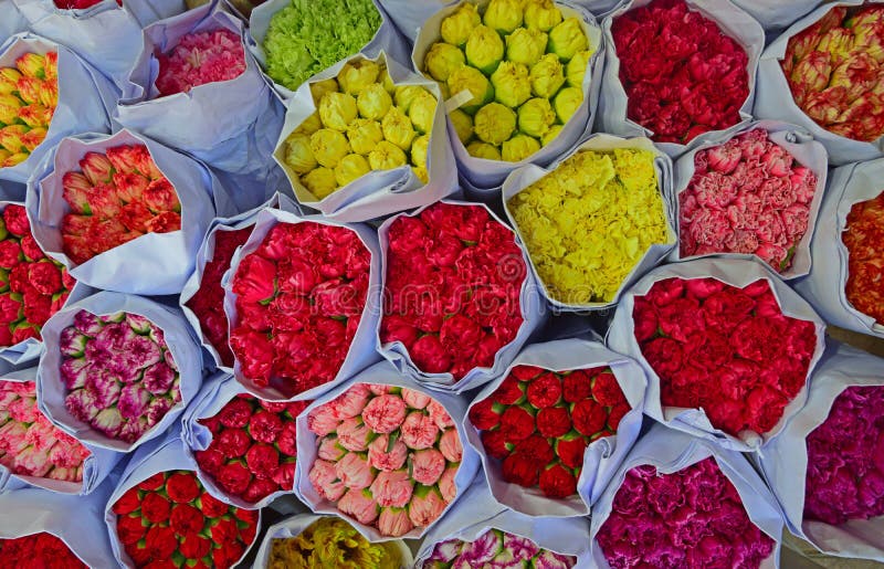 Diverse kleur van anjerbloemen in massa bij Bloemmarkt stock foto's Diverse kleur van anjerbloemen in massa bij Bloemmarkt stock foto's